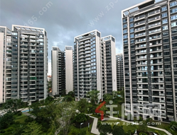 仅7888元/㎡起！南宁东站旁，还是低密度精装现房！