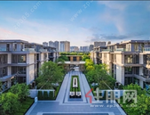 江岸正当红，与理想生活美好奔现