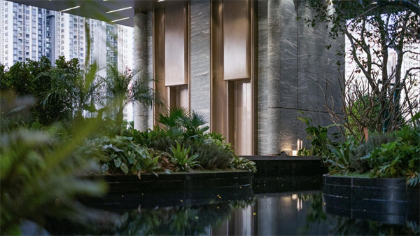 图片36.png 图片36.png