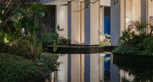 图片37.png 图片37.png