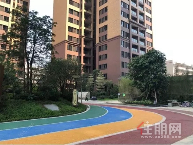 郁江湾项目实景图