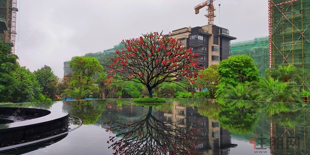 (南宁彰泰红实景图)