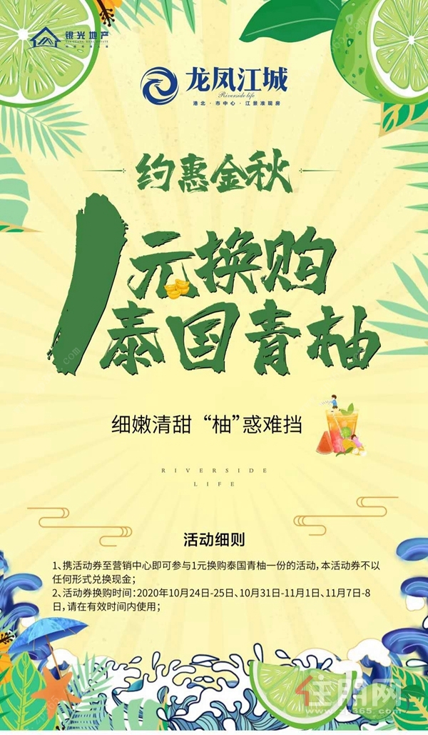龙凤江城活动海报图