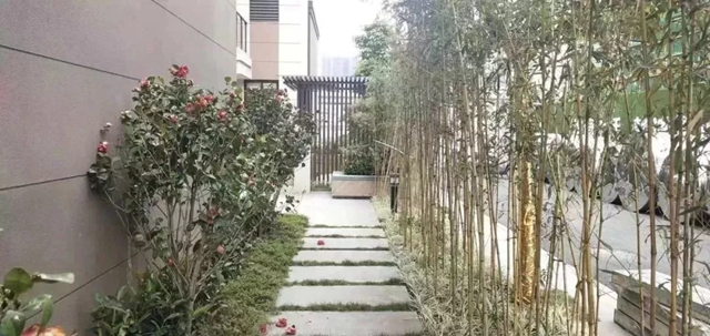 凯悦山庄实景图