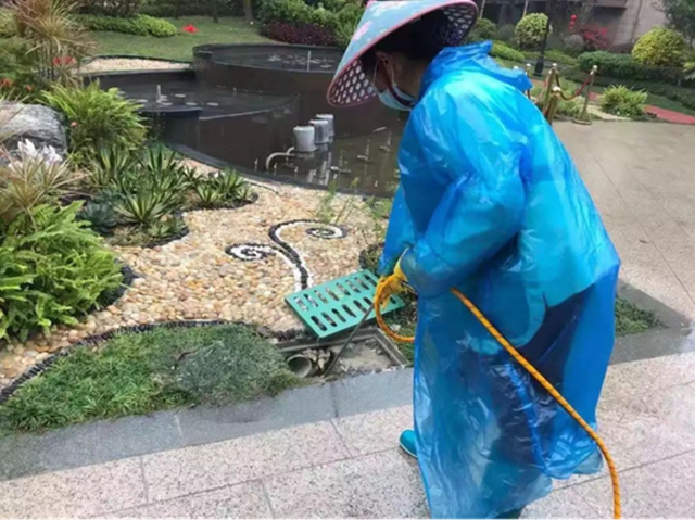 重点区域进行全面消杀