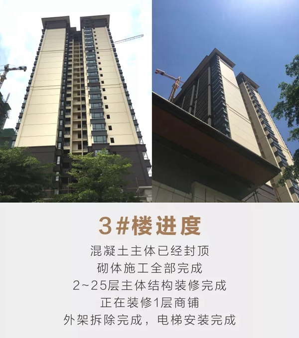 大安精通悦府图文宣传