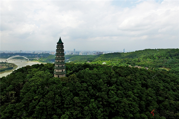 青秀山实景图