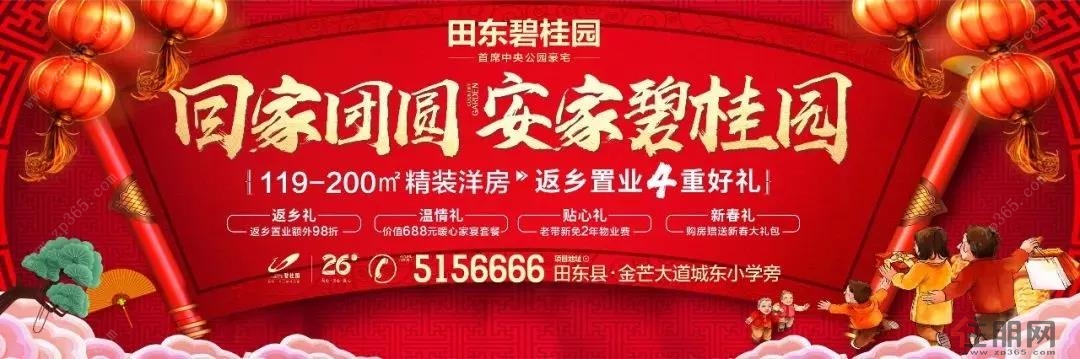 田东碧桂园3#,6#,9#栋,最后9套,清尾大促,抢到即赚!