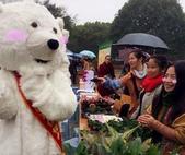 北极熊去哪了?一个让FBI都无法查证的谜团