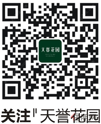 天誉花园活动