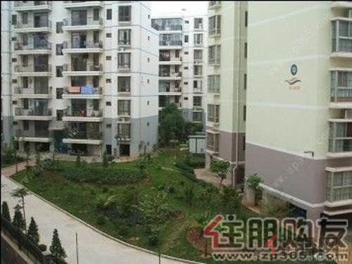 滨江丽景花园实景图