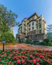 媒体解密万达茂top产品：秘境五象·幸福茂盛