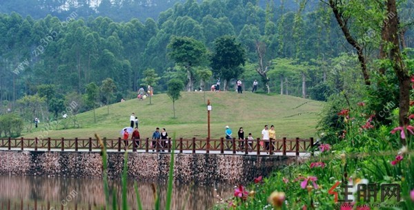 后靠挂榜山公园,紧邻龟山公园,连绵湿地公园,集中玉林市三大"生态绿肺