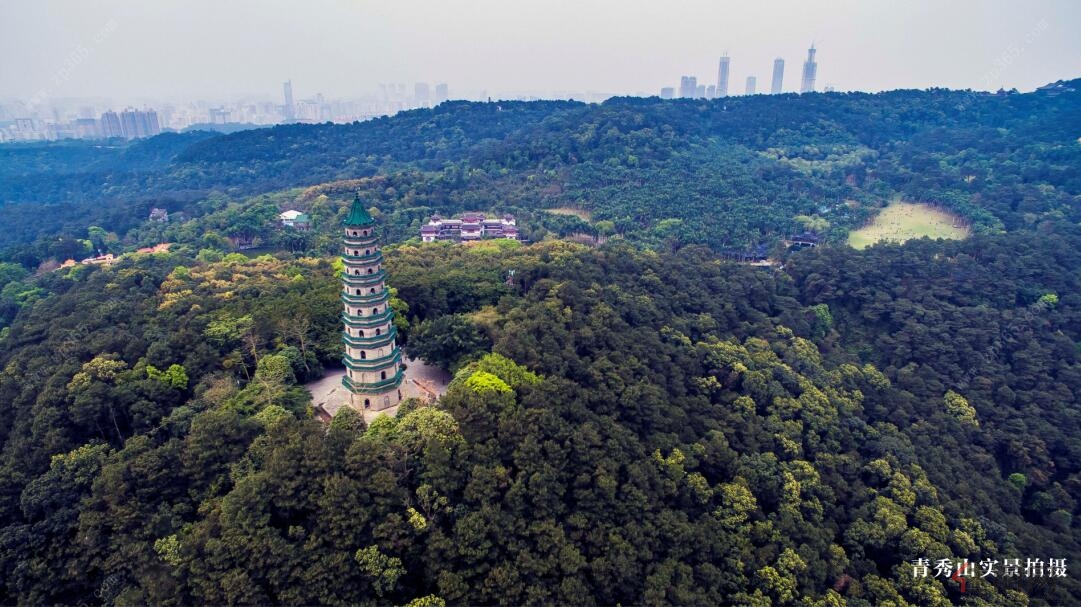 青秀山实景