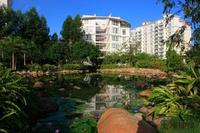 中房翡翠香颂仅东盟商务区半价 高性价比新品预约火爆