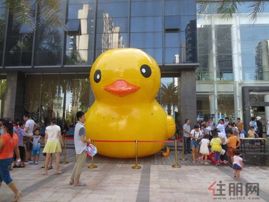 大黄鸭