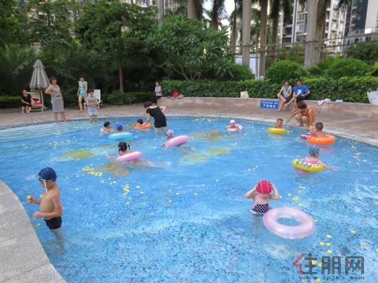 儿童水域有很多的小黄鸭