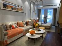 凤岭北东站商圈 毛坯全能loft公寓商住两相宜