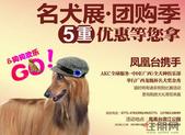 凤凰台名犬展赢千元大奖 活动期间购房额外优惠1万元/套