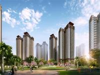 11月12日-13日君华锦云冬季健康养生节盛大开启