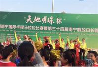 揭秘南马背后的力量 总冠名商中铁交通天地明珠是谁？