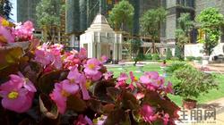 隆源华府：黄金周热销1.5亿 引爆城南置业潮