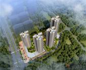 速看丨南宁49米大道建设，买房要趁早，别等涨价了！