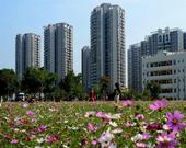 火车东站商圈初现 华凯·淘金街地铁口临街商铺众人眼红