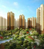 金秋置业江南看过再出手 云星钱隆江南让你即买即赚