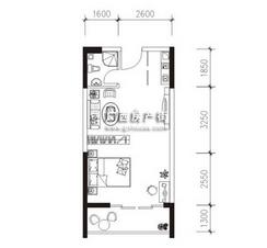 【梦旅人户型图】1室1卫1厨1阳台