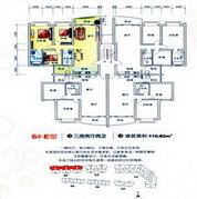 6#-E户型 