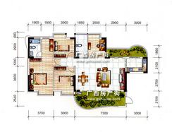 【天然居5栋03号房户型  】4室2厅2卫1厨1阳台