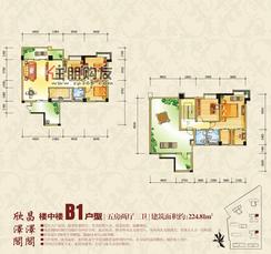 【欣泽阁B1（楼中楼）】5室2厅3卫1厨2阳台