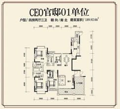 【CEO官邸01单元】4室2厅3卫1厨3阳台