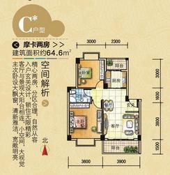 【C户型】2室2厅1卫1厨2阳台