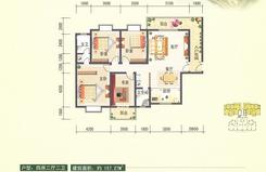 【金海湾户型图】