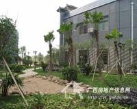 南兴·盛世江南