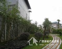 南兴·盛世江南