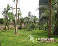 南兴·盛世江南