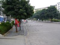 金刚·上品世家