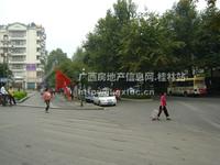 金刚·上品世家