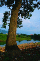 桂林漓江奥林苑