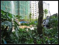 南兴·盛世江南