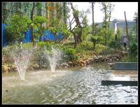 南兴·盛世江南