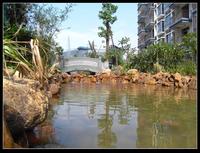 南兴·盛世江南