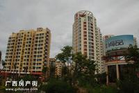 实景图