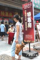 活动图片