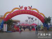 活动图片