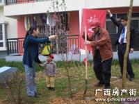 活动图片