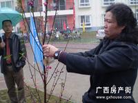 活动图片